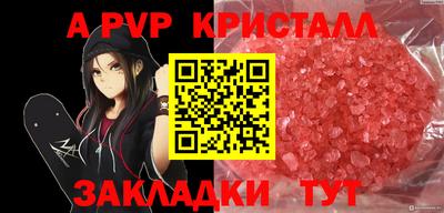 стафф Донецк