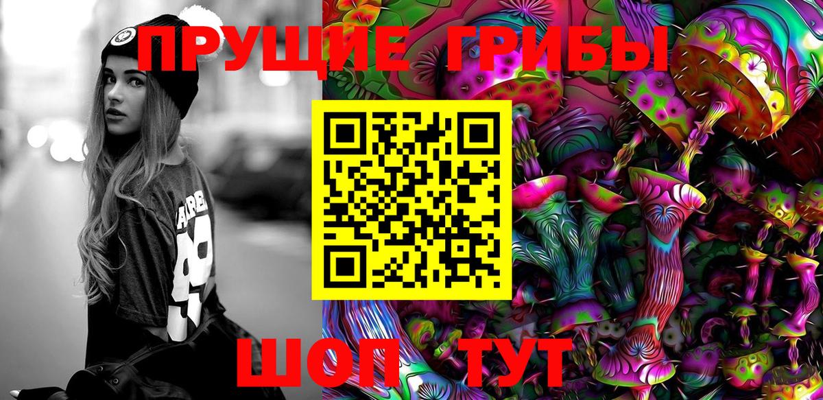 Галлюциногенные грибы Psilocybine cubensis  Галлюциногенные грибы Psilocybe  Вход с VPN  Новочебоксарск 